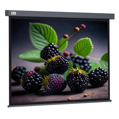 Экран 127x127см Wall screen CS-PSW-127X127-SG 1:1