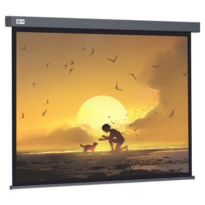 Экран Cactus 124.5x221см Wall screen CS-PSW-124X221-SG 16:9