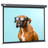 Экран Cactus 149.4x265.7см Wall screen CS-PSW-149X265-SG 16:9