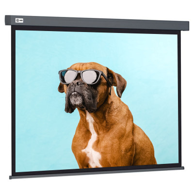 Экран Cactus 149.4x265.7см Wall screen CS-PSW-149X265-SG 16:9